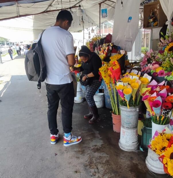 Flores Amarillas. Foto: Adriana Estrada/EL UNIVERSAL