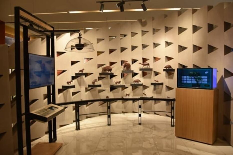 Museo del Mamut espera recibir por día mil 200 visitantes durante vacaciones de invierno