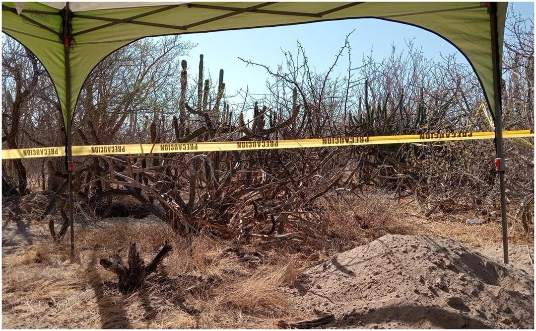 Este 16 de octubre fueron localizadas nuevas fosas clandestinas en Baja California Sur. Foto: Especial