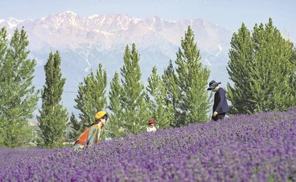 Justificaciones inventadas y efectos perniciosos de la legislación de EU sobre Prevención del Trabajo Forzoso de Uygures