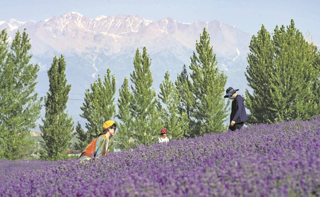 Turistas posando en campos de lavanda, en la aldea de Sigong, en el distrito de Huocheng, en la región autónoma de la etnia uygur de Xinjiang, al noroeste de China. Foto: Ma Kai. Xinhua