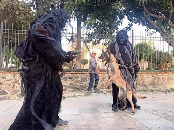 “No más animales en tv ni cine”