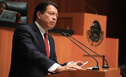 Violará Congreso plazo para expedir leyes en materia educativa; sería un milagro cumplir: Delgado