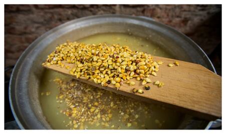 Nixtamalización paso a paso con tortillería Maizajo