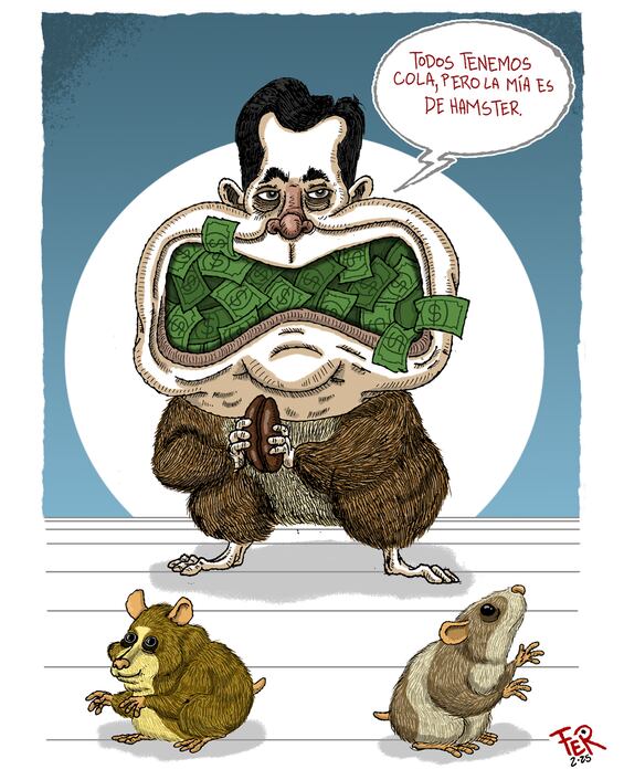 Cartón de FER