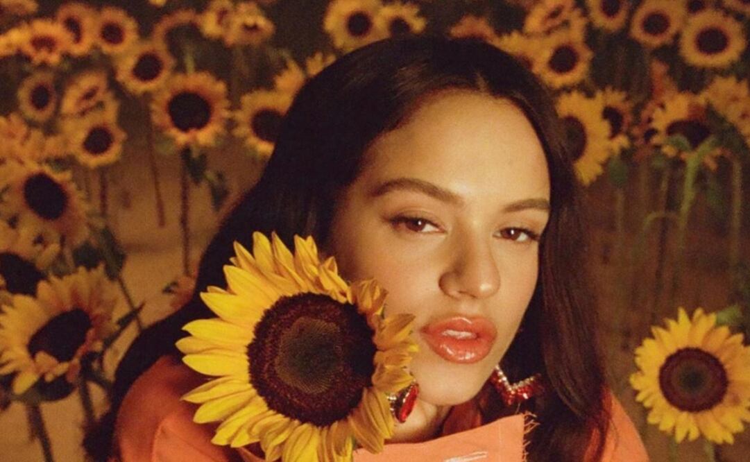 La cantante lució su nuevo look en Instagram. Foto: Instagram