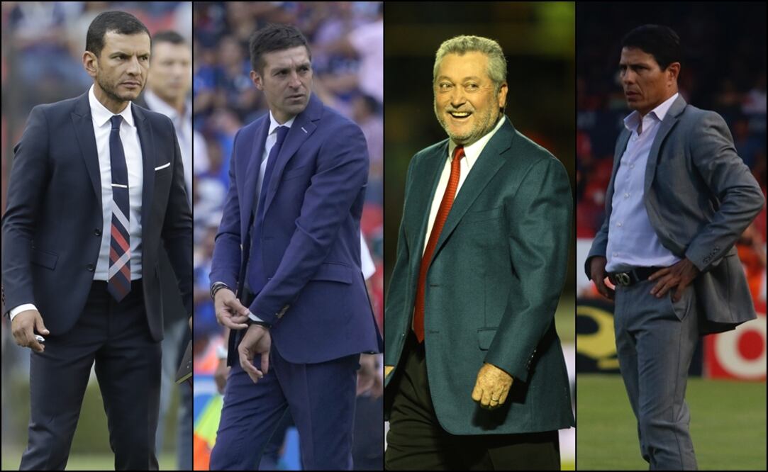 Opciones para técnicos