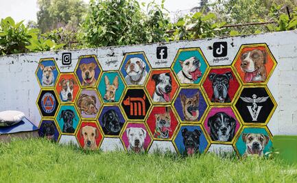 Día del Perro. Lomitos del Metro, a la espera de la adopción