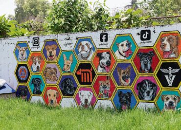 Día del Perro. Lomitos del Metro, a la espera de la adopción