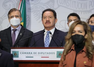 No aprobamos vía exprés la Ley Monreal por el bien de México: diputados de Morena