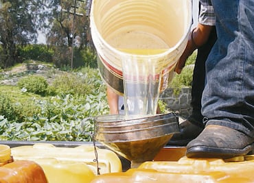 Pura Gente Nueva Cartel controls fuel theft in Campeche
