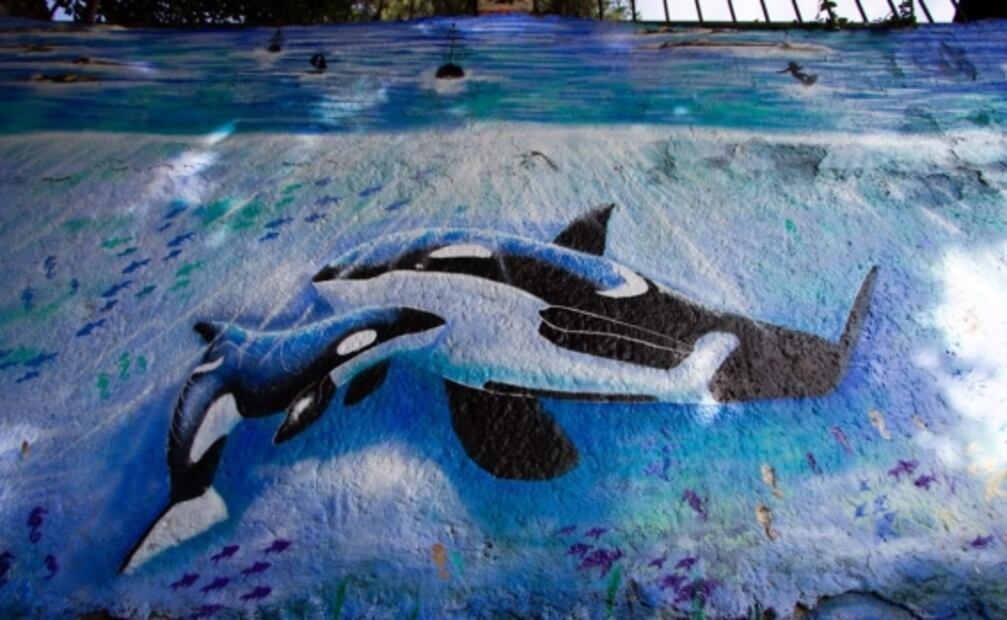 Sedema entrega reconocimientos a participantes de “Ola Metrópoli”