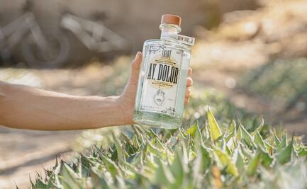 ¡Saquen los mezcales y el pasito duranguense! Conoce Ay, Dolor