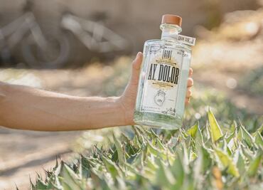 ¡Saquen los mezcales y el pasito duranguense! Conoce Ay, Dolor