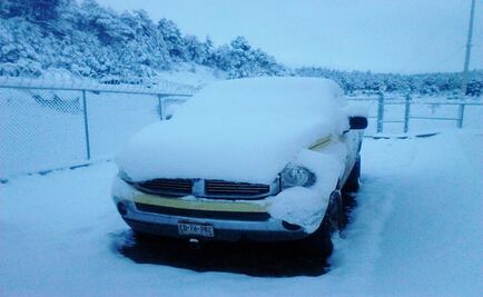 Chihuahua atiende emergencia por nevadas en 19 municipios