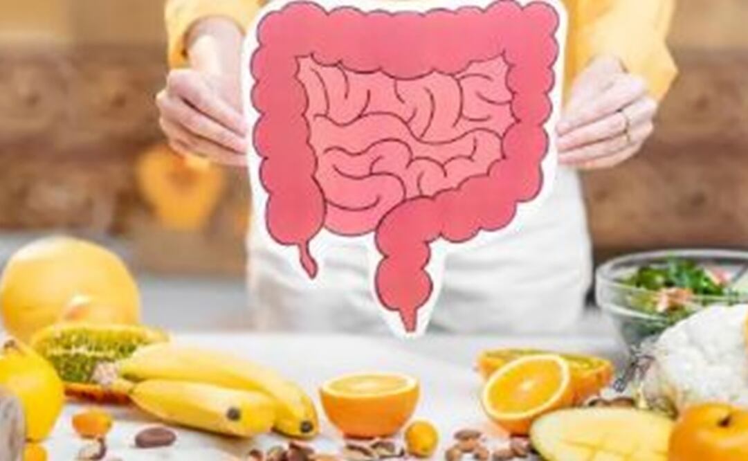 Día Mundial de la Salud Digestiva. Foto: Pixabay