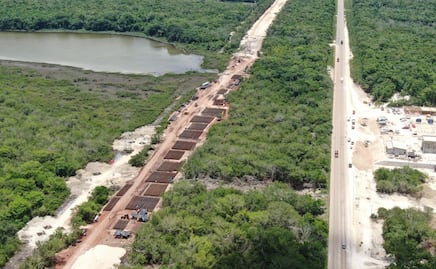 Urgen a AMLO a suspender de inmediato obras del Tren Maya en tramo Bacalar-Chetumal por daños al ecosistema