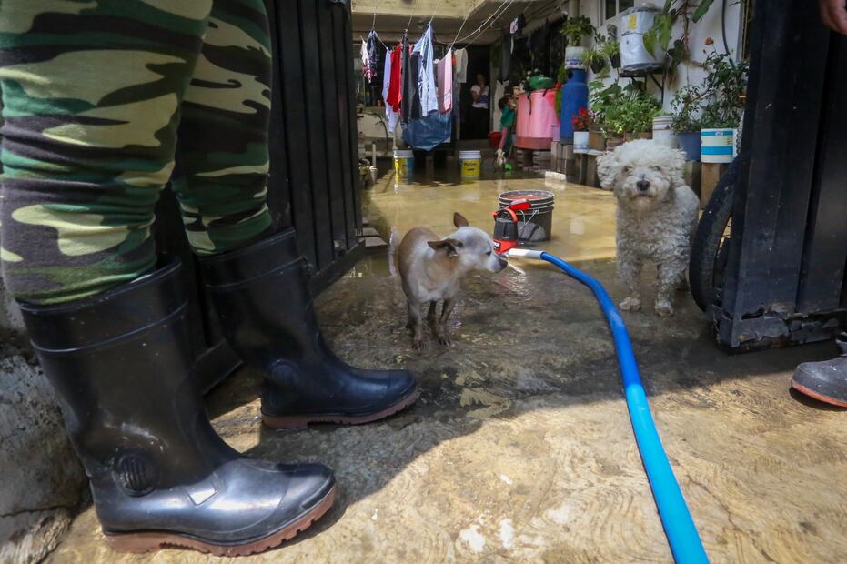 Las inundaciones han afectado a las personas en su vida cotidiana por las calles en las que no se pueden pasar. Foto: de Luis Camacho. El Universal