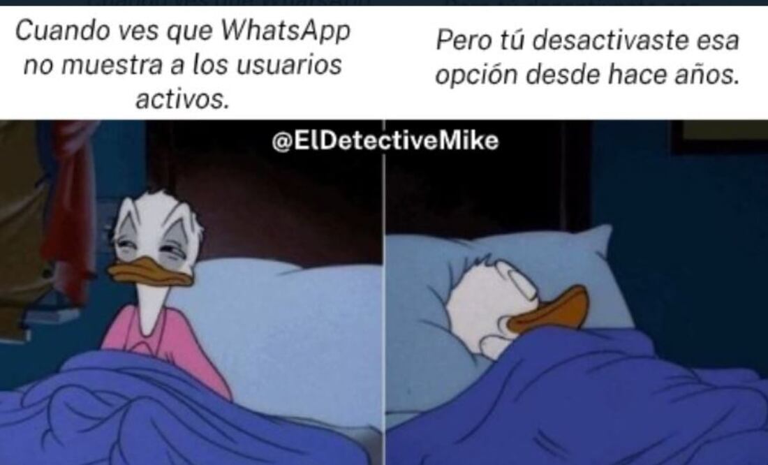 El servicio de mensajería dejó de funcionar, no se puede ver la 'ultima conexión' ni el 'en línea'
