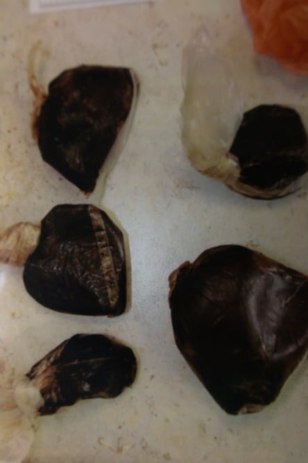 Foto: Cortesía de PGR Durango