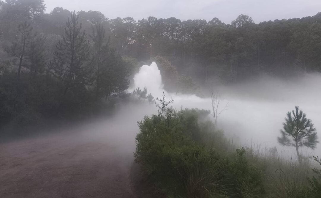 Controlan fuga de gas en Nanacamilpa, Tlaxcala 
Foto: Especial.