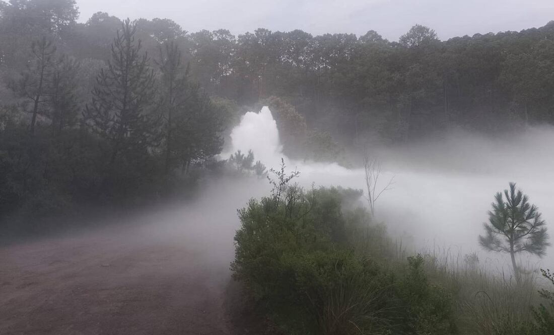 Controlan fuga de gas en Nanacamilpa, Tlaxcala
Foto: Especial.