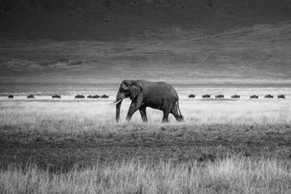 Así es la Montaña de los Siete Colores