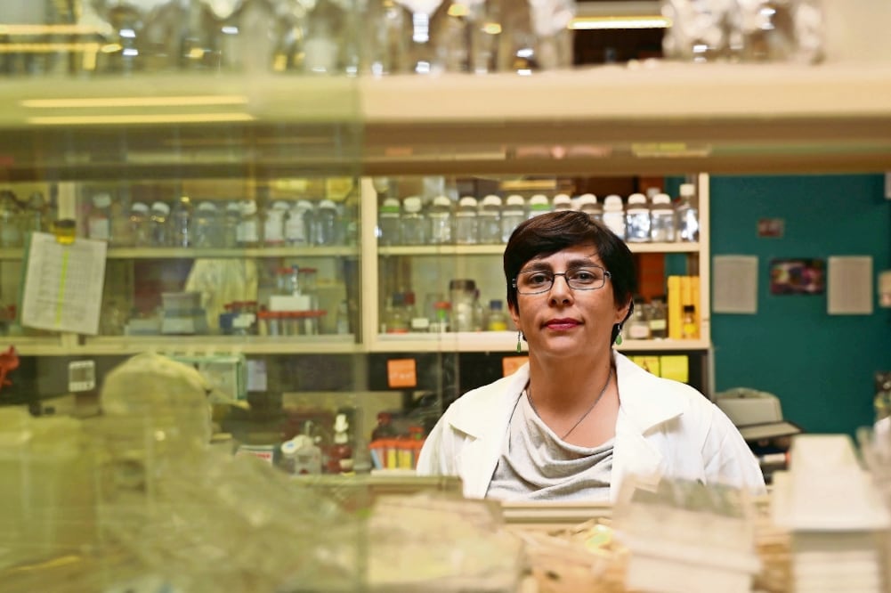 Susana Castro Obregón, especialista en neurodesarrollo y fisiología, lidera un equipo de científicos que desde la UNAM intenta descubrir el papel de la autofagia en el desarrollo y envejecimiento del sistema nervioso (VALENTE ROSAS. EL UNIVERSAL)