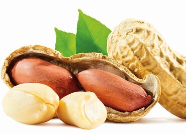 The story behind marzipan