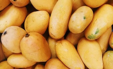 Conoce los beneficios de comer mango para la salud
