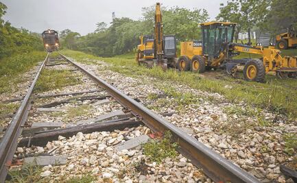 Sembrando Vida abarcará municipios donde pasará Tren Maya: Bienestar