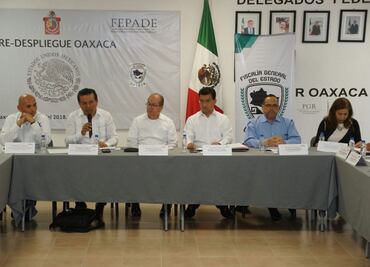 Investiga Fepade 183 denuncias por delitos electorales