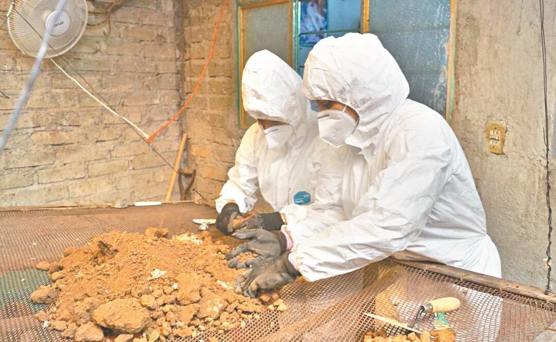Algunos de los fragmentos óseos encontrados en la casa del feminicida de Atizapán apenas miden unos centímetros. Fotos: Especial.