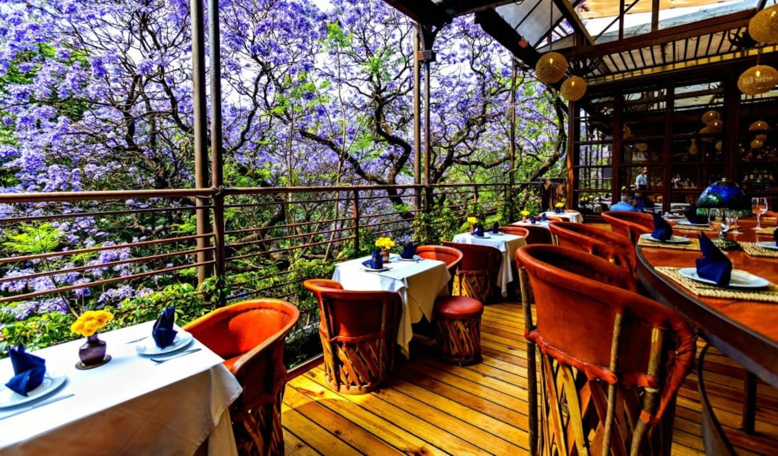 Los empleados le llaman “la terraza del amor”. Hotel Parque México. (Foto: Alan Carranza/El Universal)
