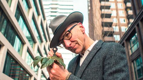 El mosquito del metro de Londres y otras especies que evolucionan en las ciudades