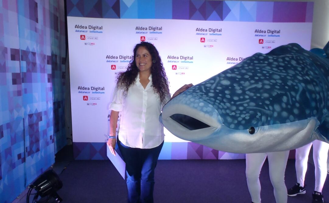 El proyecto Tiburón Ballena México es dirigido por Dení Ramírez. (FOTO: Cortesía Conacyt)