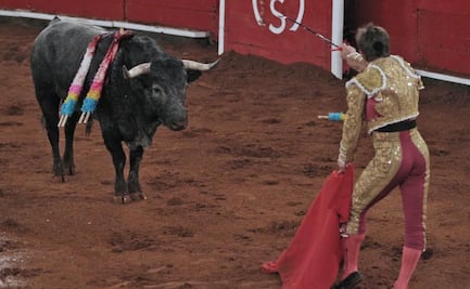 Presentan iniciativa contra corridas de toros en CDMX