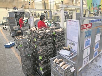 “Remodelaciones hormiga salvan productos para baño”