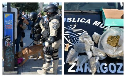 Perro policía detecta un kilo de droga en transporte público de Atizapán