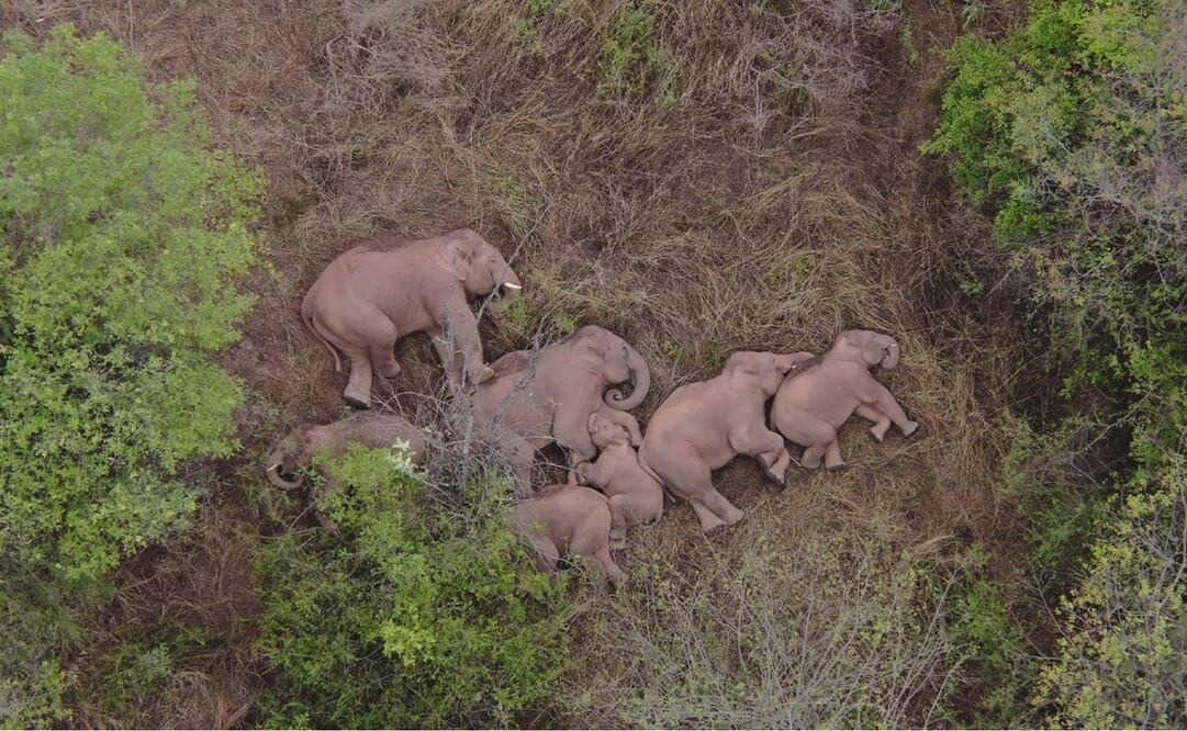 Foto: Yunnan Forest Fire Brigade via AP