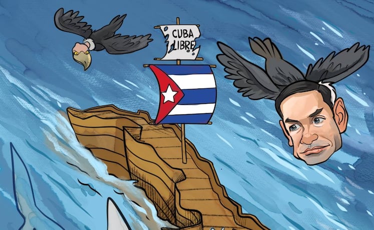 Cartón de WALDO