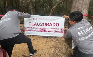 Sedema clausura tala ilegal en Cuajimalpa; detecta derribo de árboles sin autorización en “El Ocotal”