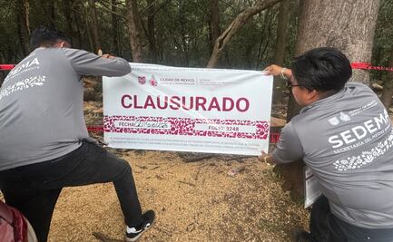 Sedema clausura obra en Cuajimalpa; detecta derribo de árboles sin autorización en “El Ocotal”