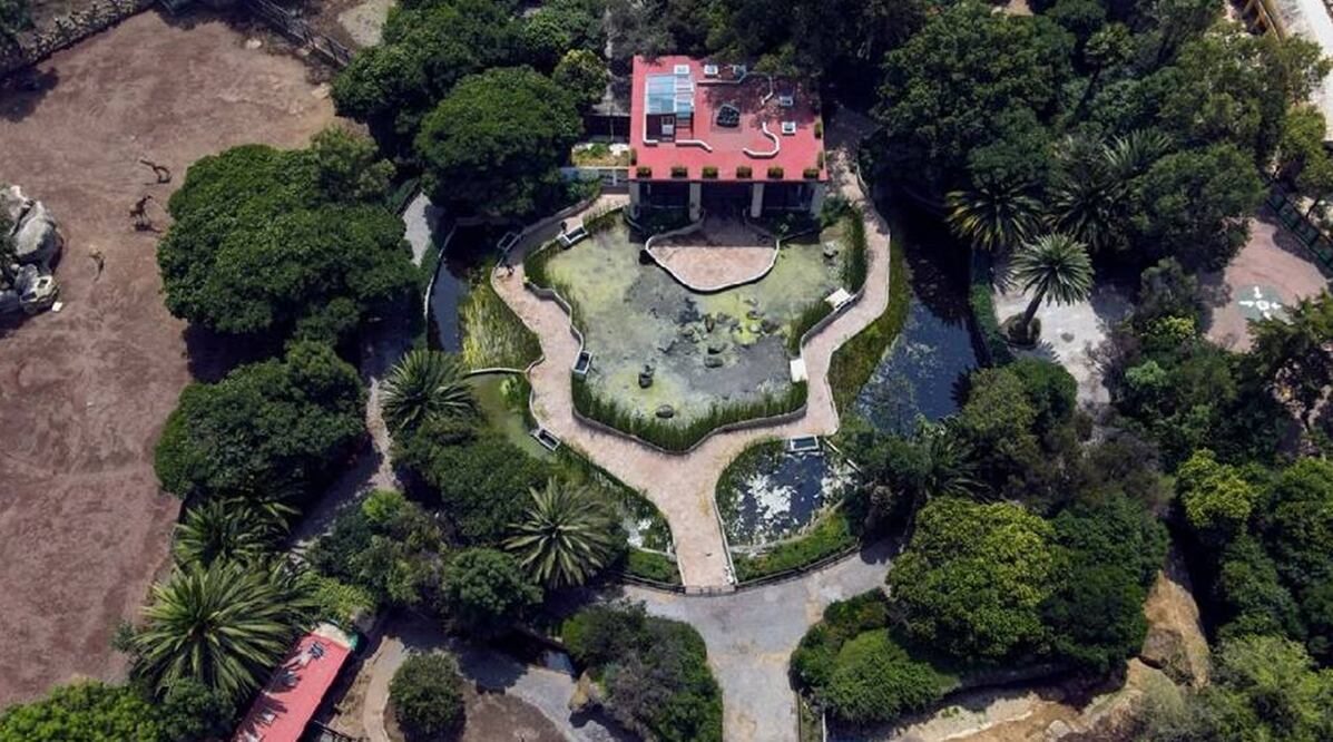 Proyecto "Chapultepec: Naturaleza y Cultura".
Foto: Especial