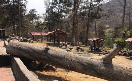 Anuncian plan de rescate para Parque de Los Ciervos en Atizapán 