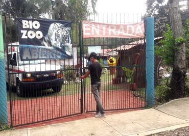 Tigre ataca a joven que intentaba tomarse una selfie en Veracruz