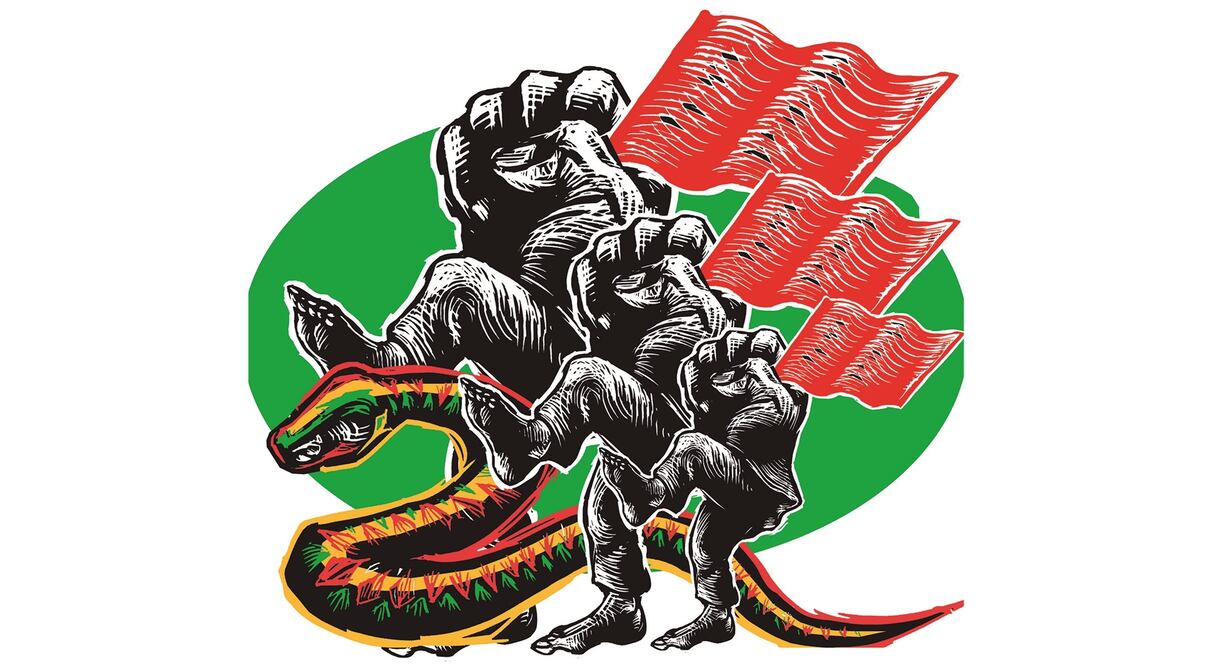 España camisa blanca