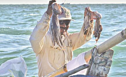 “Aunque el precio estuvo bien, no pudimos ir a pescar”, dice pescador