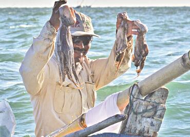 “Aunque el precio estuvo bien, no pudimos ir a pescar”, dice pescador