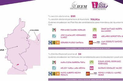 IEEM abre sitio para difundir nombres de candidatos